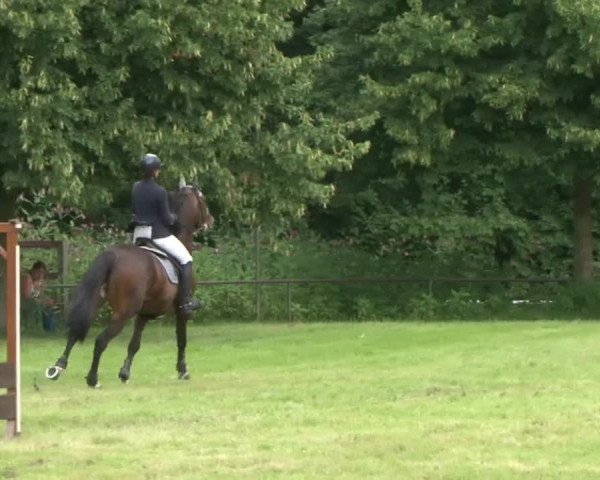 Reitturnier Hamburg-Friedrichshulde 2016
