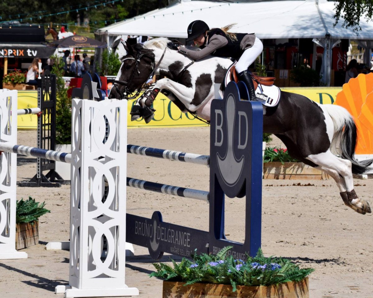 jumper Javas Lady Bug (Irish Sport Horse, 2008)