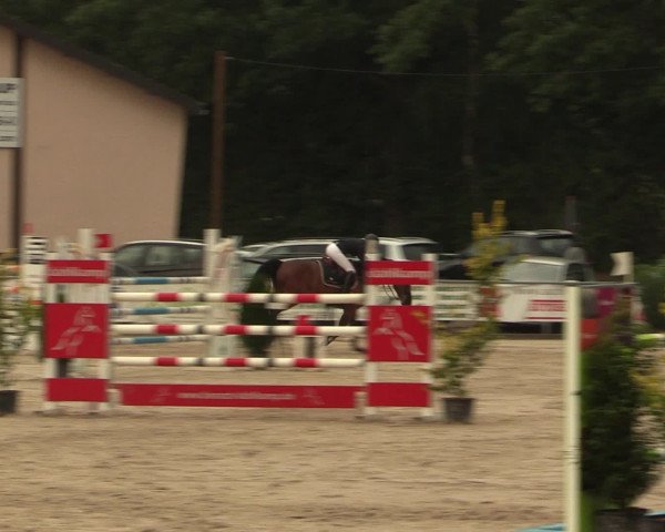 Reitturnier Olfen-Vinnum 2016