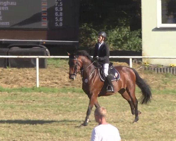 Reitturnier Idar-Oberstein 2016