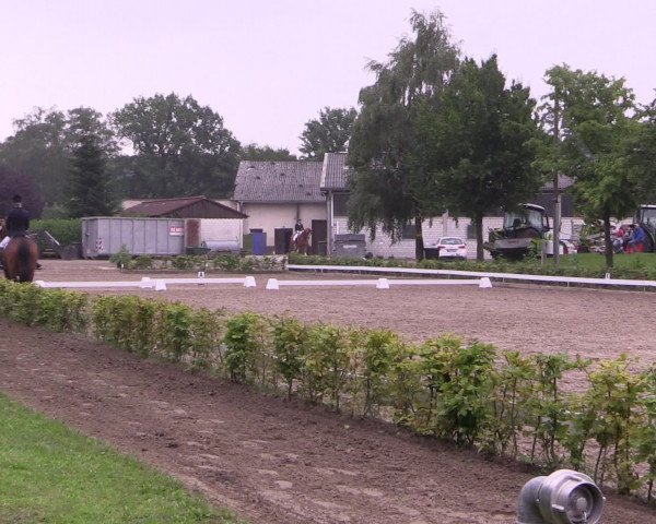 Reitturnier Olfen-Vinnum 2016