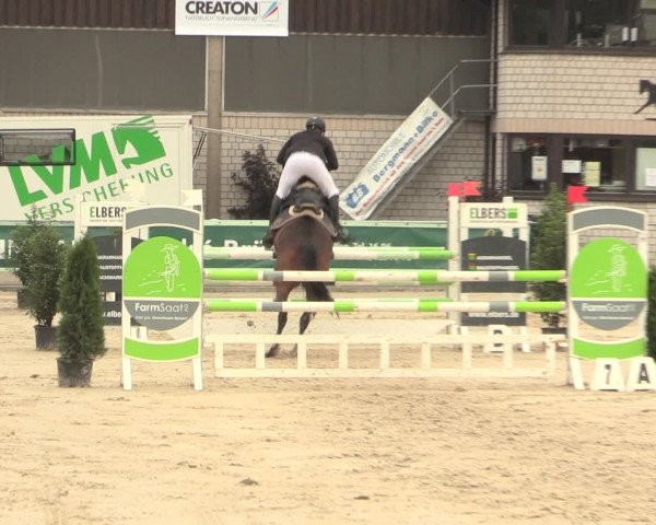 Reitturnier Olfen-Vinnum 2016
