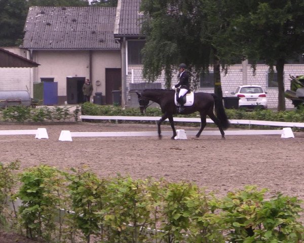 Reitturnier Olfen-Vinnum 2016