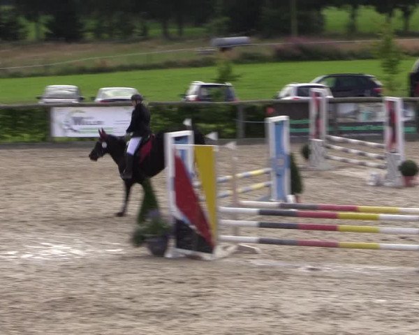 Reitturnier Monschau-Mützenich 2016