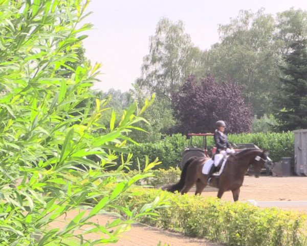 Reitturnier Olfen-Vinnum 2016