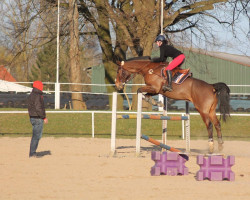 jumper Garlick 4 (Mecklenburg, 1999, from Grannenstolz)