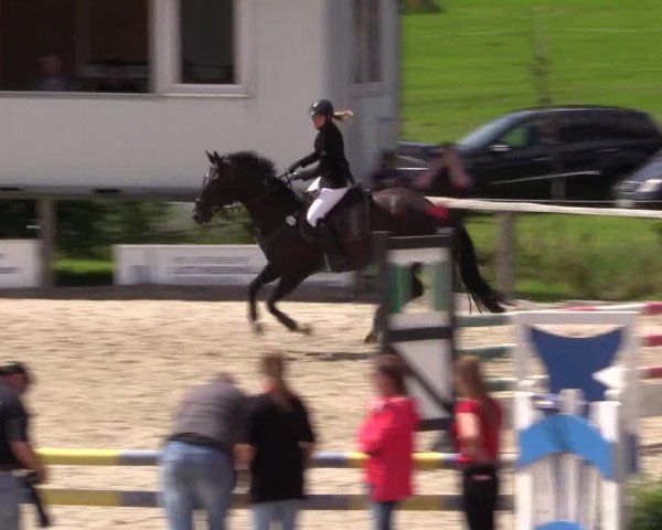 Reitturnier Monschau-Mützenich 2016