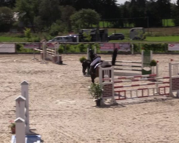Reitturnier Monschau-Mützenich 2016