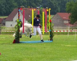 Pferd Bacardi Blue (Shetland Pony, 2008, von Berti)