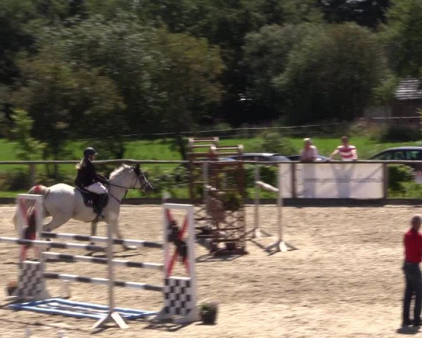 Reitturnier Monschau-Mützenich 2016