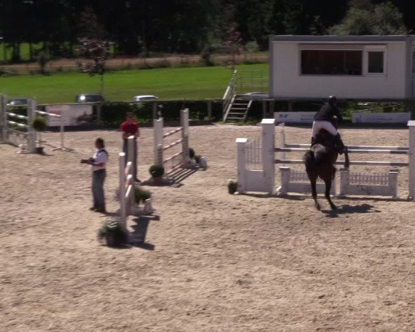 Reitturnier Monschau-Mützenich 2016