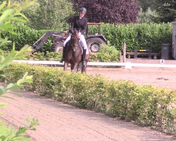 Reitturnier Olfen-Vinnum 2016