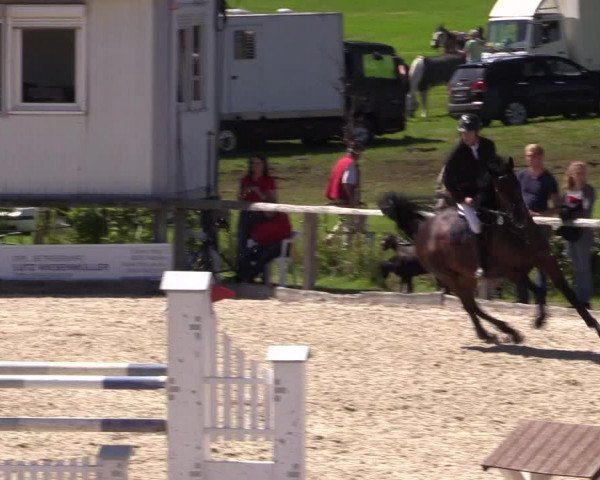 Reitturnier Monschau-Mützenich 2016