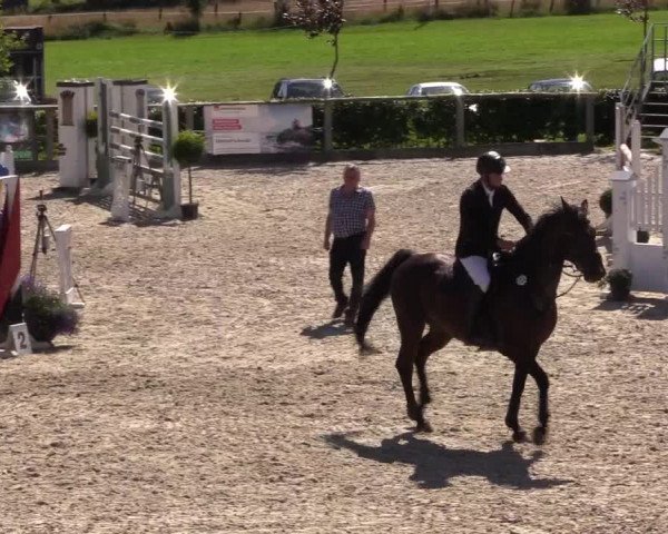 Reitturnier Monschau-Mützenich 2016
