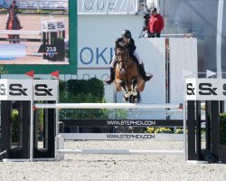 jumper Ayonie (KWPN (Royal Dutch Sporthorse), 2005, from Furore)