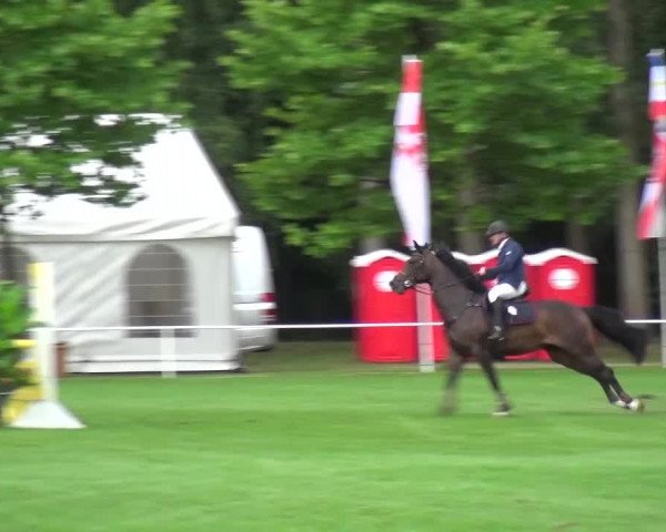 Reitturnier Zobbenitz 2016