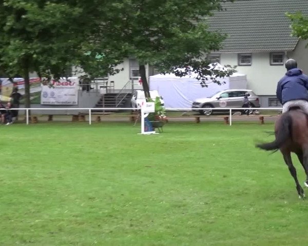 Reitturnier Zobbenitz 2016