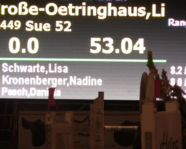 Reitturnier Olfen-Vinnum 2016