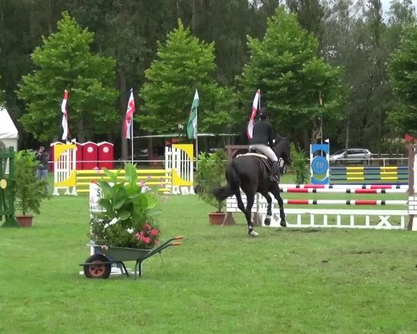 Reitturnier Zobbenitz 2016