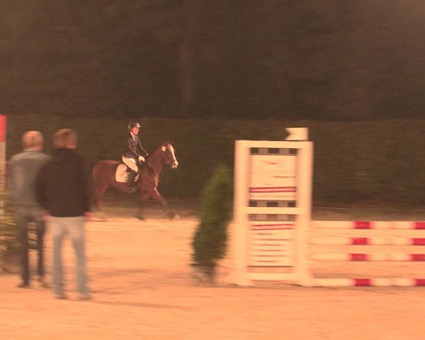 Reitturnier Olfen-Vinnum 2016