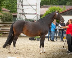 broodmare Rascalino's Söte Deern (Rhinelander, 2007, from Rascalino)