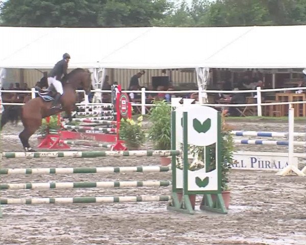 Reitturnier Tangstedt/Pinneberg 2016
