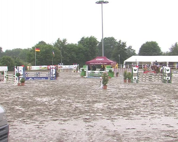 Reitturnier Tangstedt/Pinneberg 2016