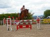 jumper Lajos (German Sport Horse, 2008, from Lichtblick TSF)