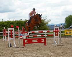 jumper Lajos (German Sport Horse, 2008, from Lichtblick TSF)