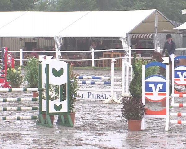 Reitturnier Tangstedt/Pinneberg 2016