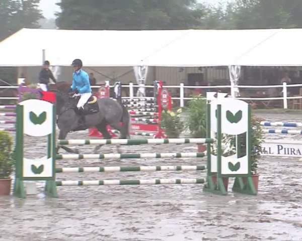 Reitturnier Tangstedt/Pinneberg 2016