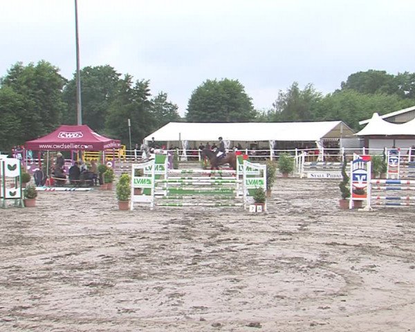 Reitturnier Tangstedt/Pinneberg 2016