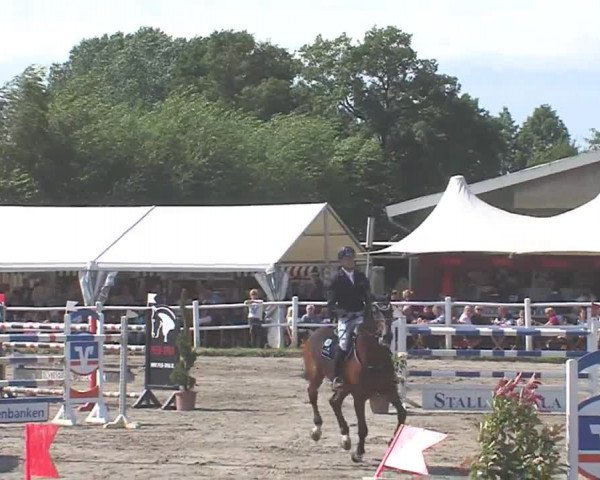 Reitturnier Tangstedt/Pinneberg 2016