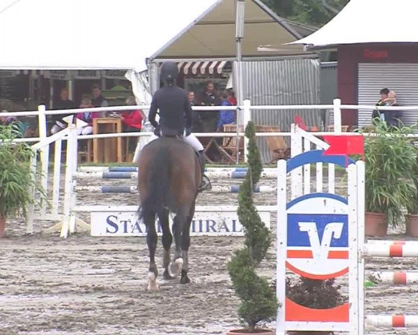 Reitturnier Tangstedt/Pinneberg 2016