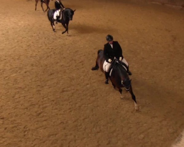 Reitturnier Olfen-Vinnum 2016
