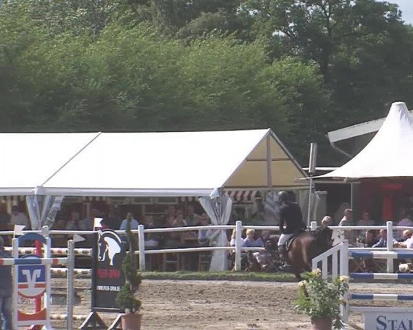 Reitturnier Tangstedt/Pinneberg 2016