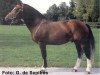 stallion Voyou III CH (Freiberger, 1995, from Vidocq)