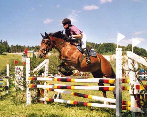 stallion Calvaro CH (Freiberger, 1999, from Chirac)