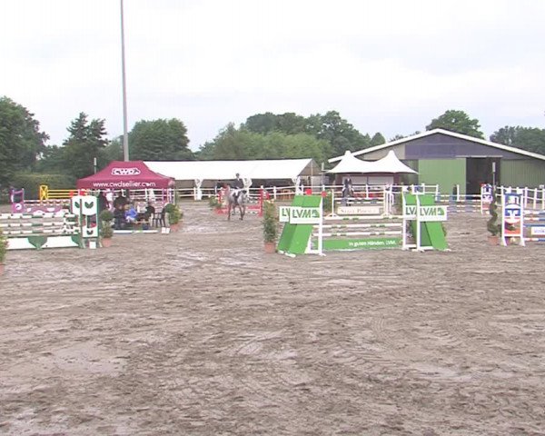 Reitturnier Tangstedt/Pinneberg 2016
