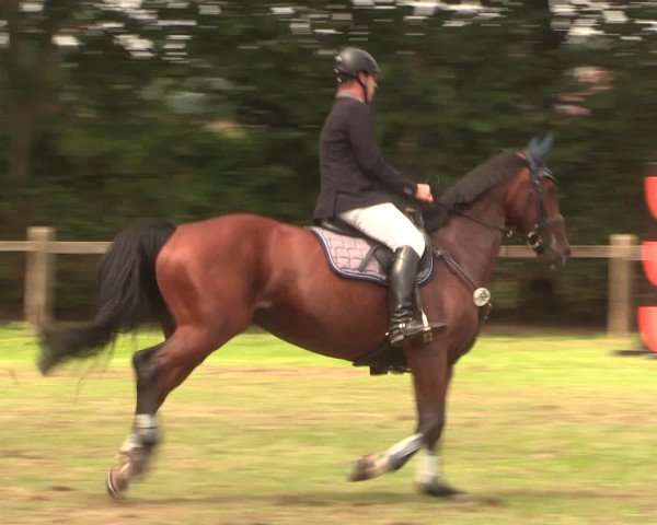 Reitturnier Petershagen-Eldagsen 2016