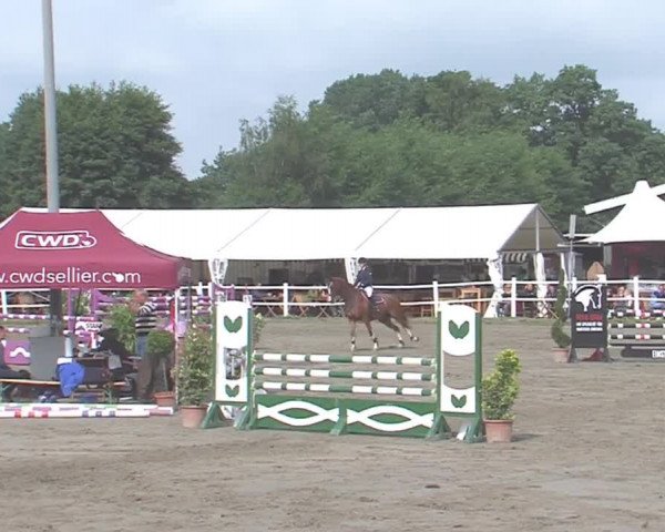 Reitturnier Tangstedt/Pinneberg 2016