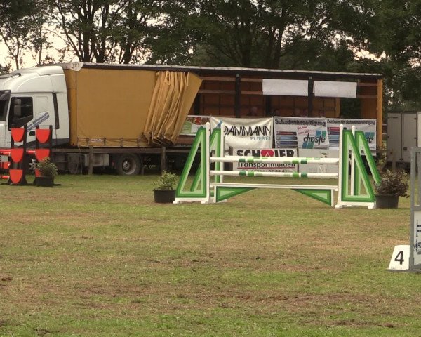 Reitturnier Petershagen-Eldagsen 2016