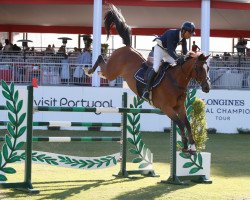 jumper G & C Arrayan (KWPN (Royal Dutch Sporthorse), 2005, from Baloubet du Rouet)