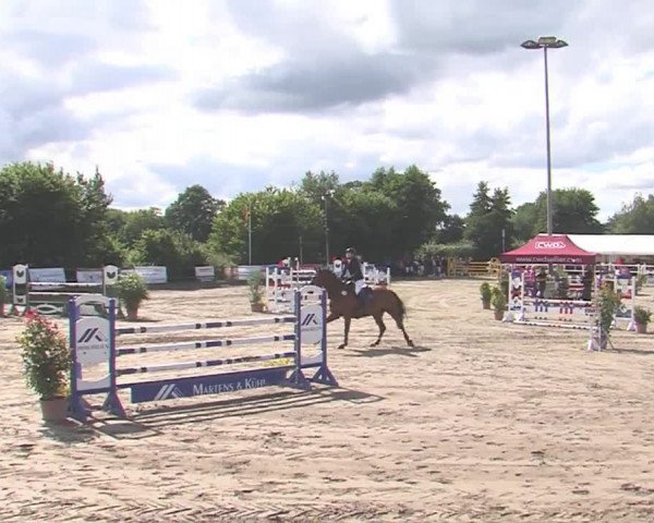 Reitturnier Tangstedt/Pinneberg 2016