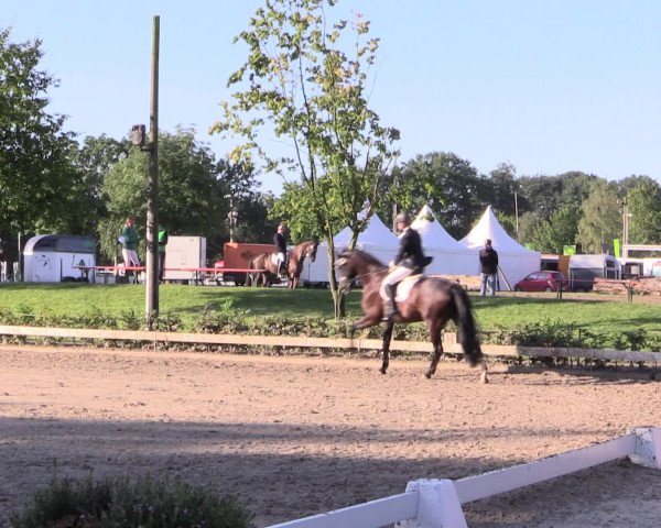 Reitturnier Olfen-Vinnum 2016