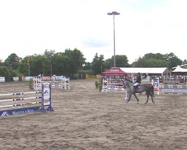 Reitturnier Tangstedt/Pinneberg 2016