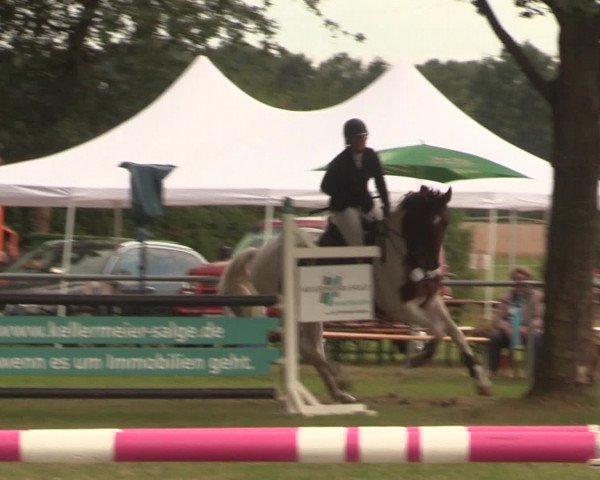 Reitturnier Petershagen-Eldagsen 2016