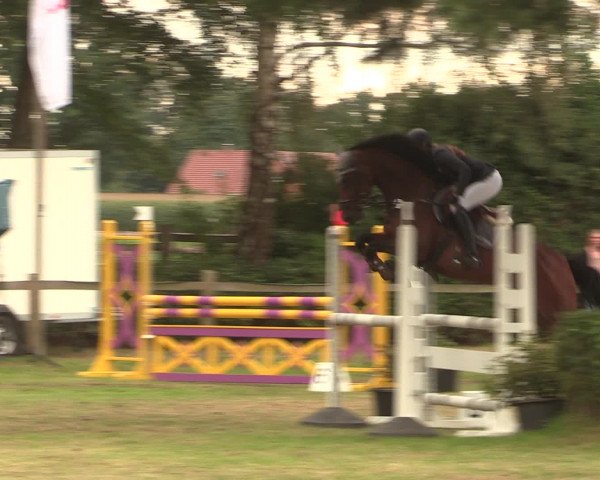 Reitturnier Petershagen-Eldagsen 2016