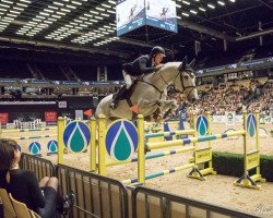 Springpferd Volstrups Cody (Dänisches Warmblut, 2006, von Carlos DZ)