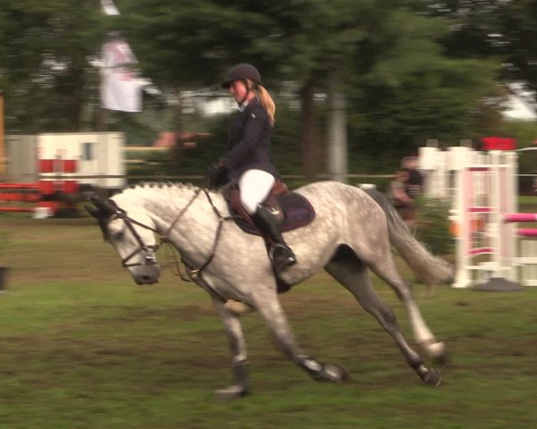 Reitturnier Petershagen-Eldagsen 2016